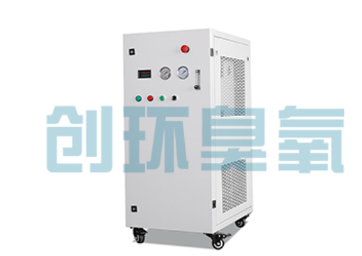平顶山石斑鱼养殖水质调控完整指南：臭氧发生器配置与操作步骤