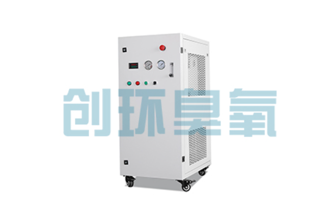 平顶山比传统换水更高效？臭氧发生器在石斑鱼养殖中的水质净化原理解析